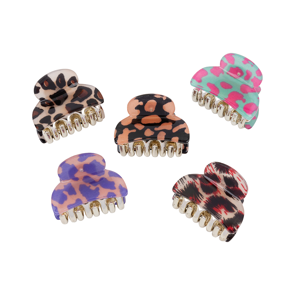 Animal Prints / Funky Colors