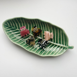 Hairclaw Mini 5 Pack