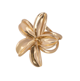 Tammie scarf ring