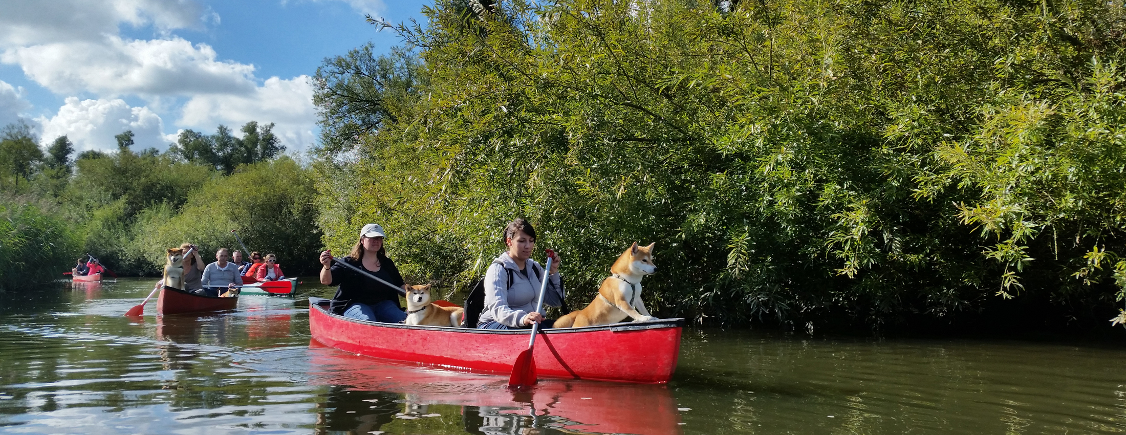 Simba's Biesbosch Experience 001
