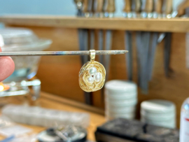 Vogelnest hanger