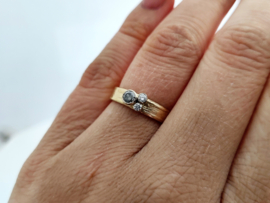 Trouwringen Pepper&Salt Diamonds