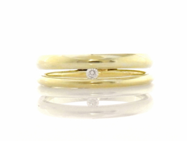 Two in one floating diamond