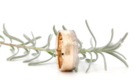 Bicolor Rough Ring