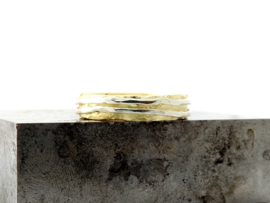 Dents of life