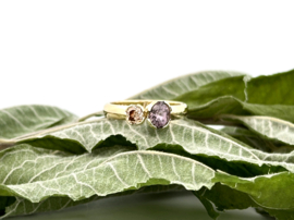 Natuurlijke Diamant en Spinel ring