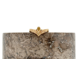 Arrow ring met natuurlijke Diamant