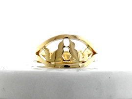 Vosjes ring