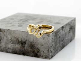 Initialen ring