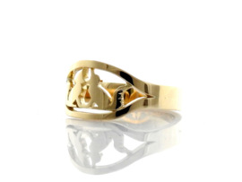 Vosjes ring