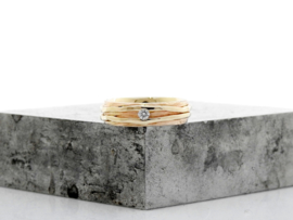 Dents of life ring