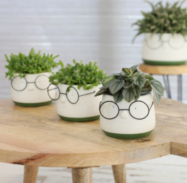 Bloempot met bril - S (groen)