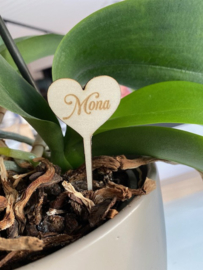 Plantenprikker met naam