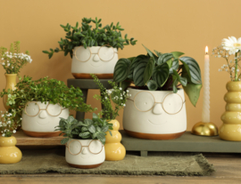 Bloempot met bril - S (goud)