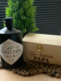 KIST voor GIN (hendrickx)