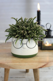Bloempot met bril - M (groen)