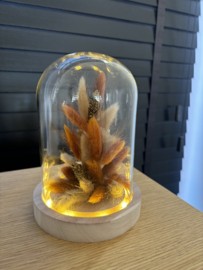 Glazen stolp met led en droogbloemen