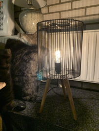 Cage lamp