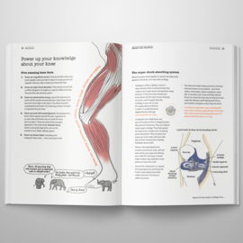 The Knee Osteoarthritis Handbook