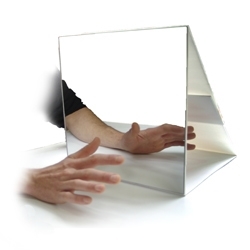 Mirror Box