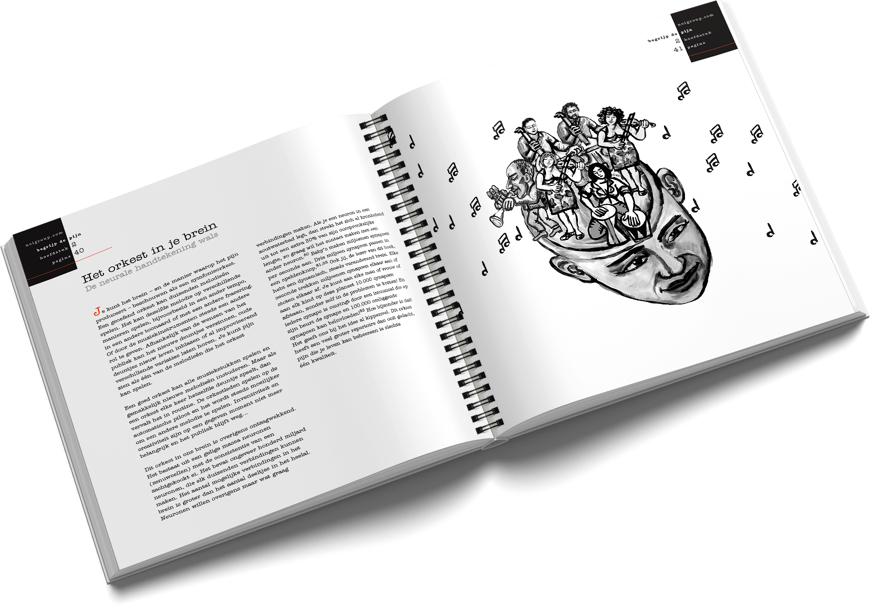 Begrijp de Pijn - Tweede Editie (pre-order)