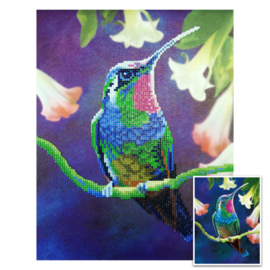 Craft Artist Diamond Art - Humming Bird