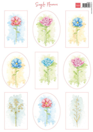 Knipvel Single Flowers  VK9621