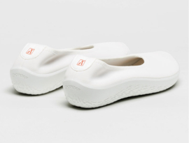 Acari | Wit