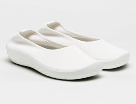 Acari | Wit