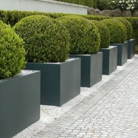 Kunststof plantenbak 'Carré' 60x60x60 cm