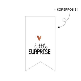 Stickers - vaantje - Little surprise - per 10 stuks