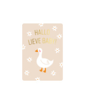 Minikaartje - HALLO LIEVE BABY!