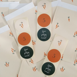 Kadozakjes - Carrots - 12x19 - per 5 stuks
