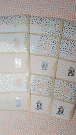 Stickers - vaantje - Sow&Grow pastel - holografisch - per 10 stuks