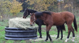 Hooi Ring Feeder Ø 128cm