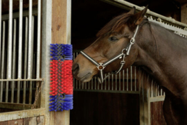 Borstel voor het paard