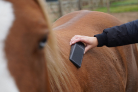 Excellent horse Grooming Brush M