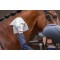 Hb Horse wipes naturel xxl