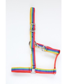 Hb 712 Nylon Halster Shet