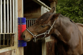 Borstel voor het paard