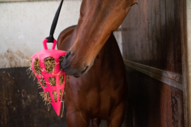 Hay Slowfeeder fun and flex wortel 22cm