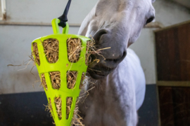 Hay Slowfeeder fun and flex wortel 22cm