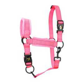 Excellent Horse Superior Halster