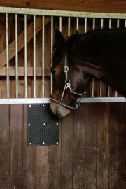 Borstelmat paard