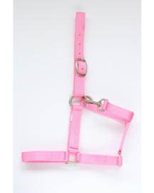 Hb 712 Nylon Halster Shet