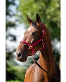 Hb 757 Showtime Eclipe Halster-set