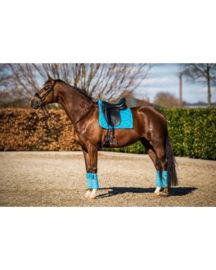 Hb 641 Showtime Crown Dressuur zadeldek