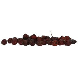 Excellent Herbs Rozenbottel 1kg