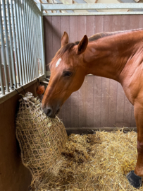 Hooi Slowfeedernet 2,5kg