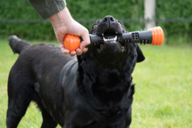 Dog Comets Meteor Werpstok oranje